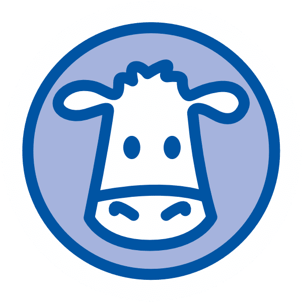 vaches-laitieres